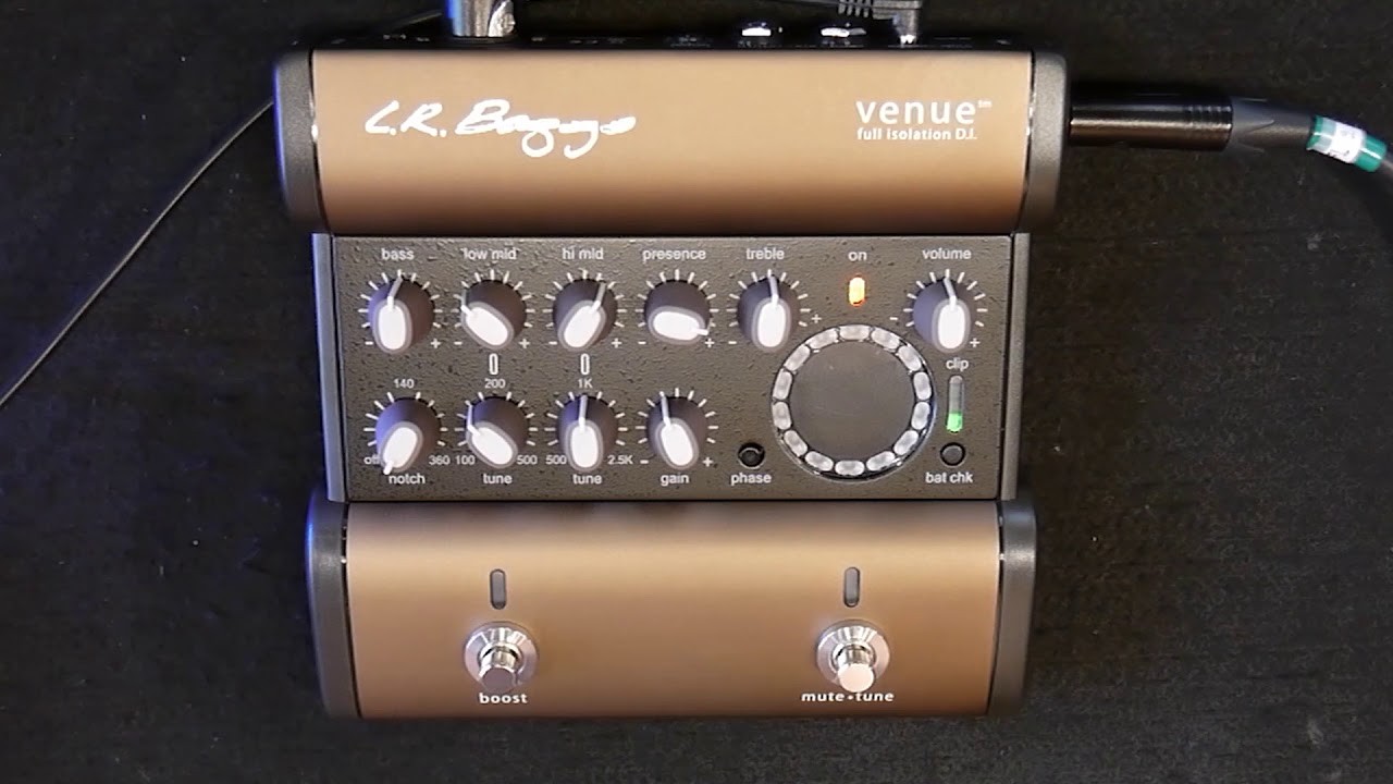 Strings Quick Demo : L.R.Baggs Venue DI