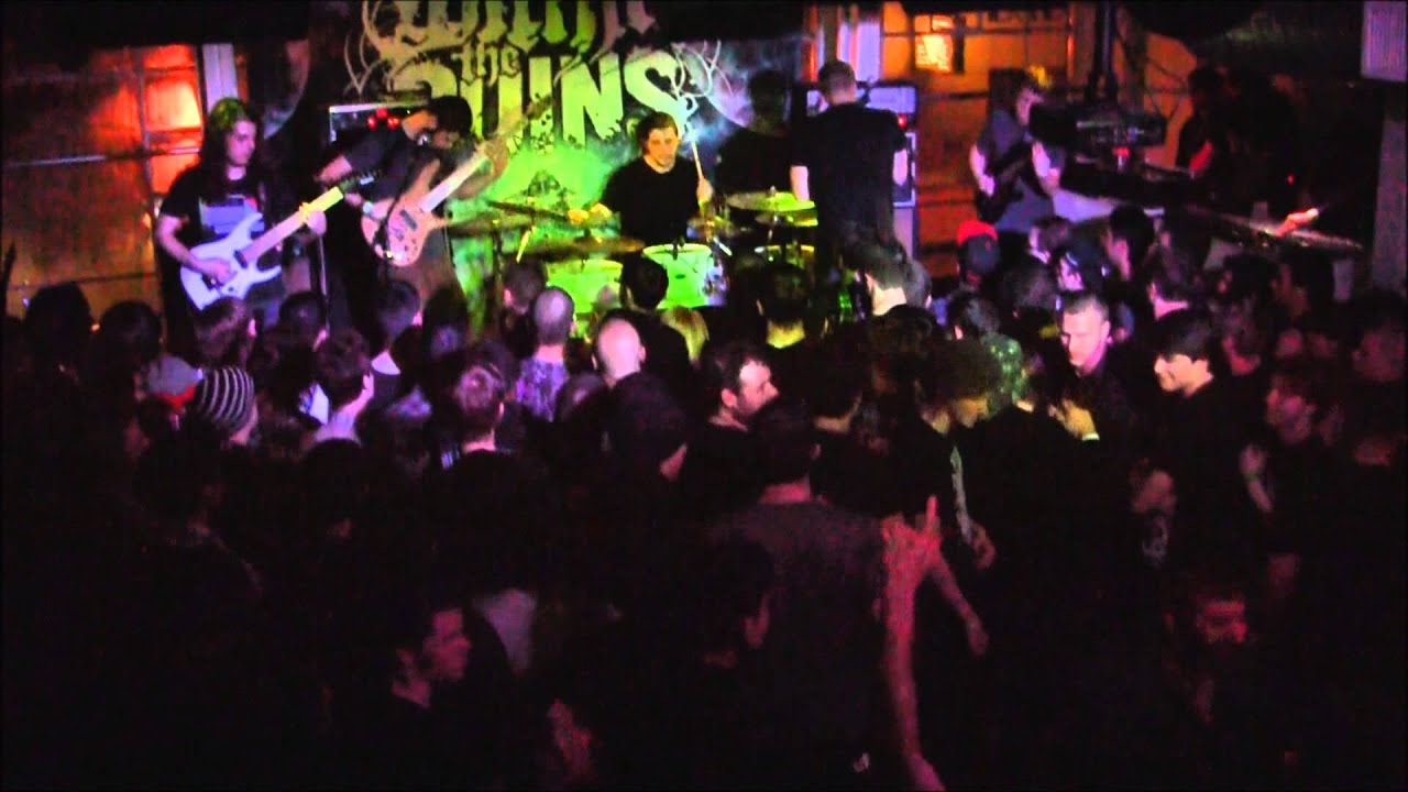 The Contortionist 