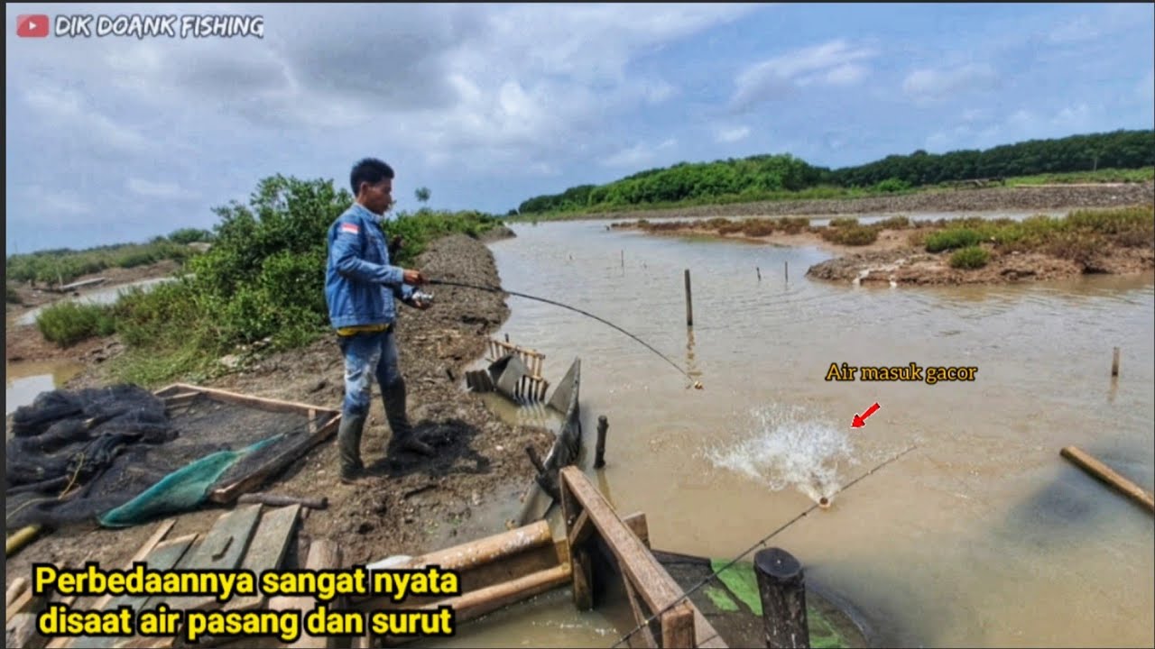 Fix‼️ternyata sangat berbeda disaat air masuk dan air nyurutin//mancing kakap