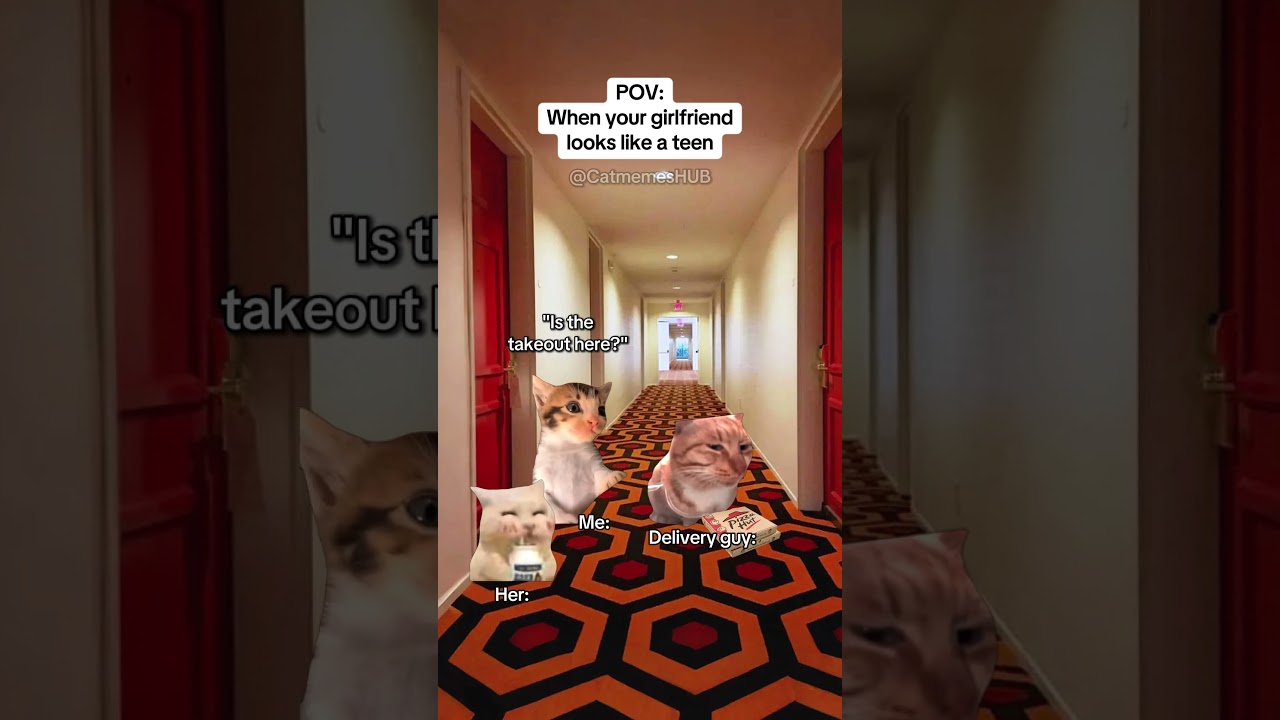 CAT MEMES 🐱When your girlfriend looks like a teen #catmemes #relatable #relationship