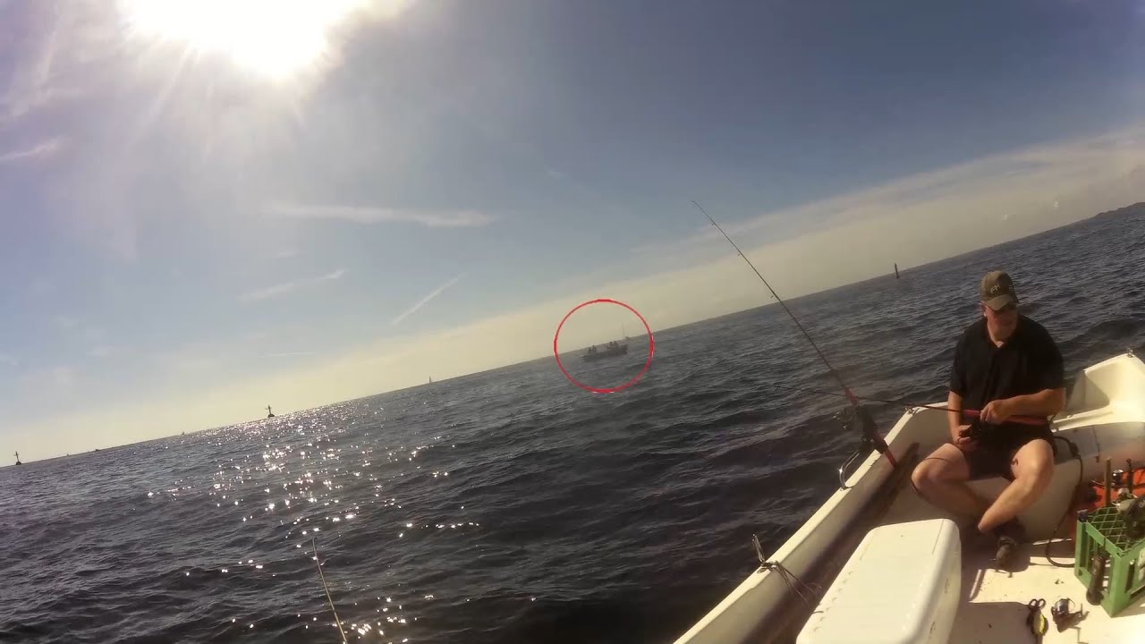 Helt i fisk Hals 29 07 2022