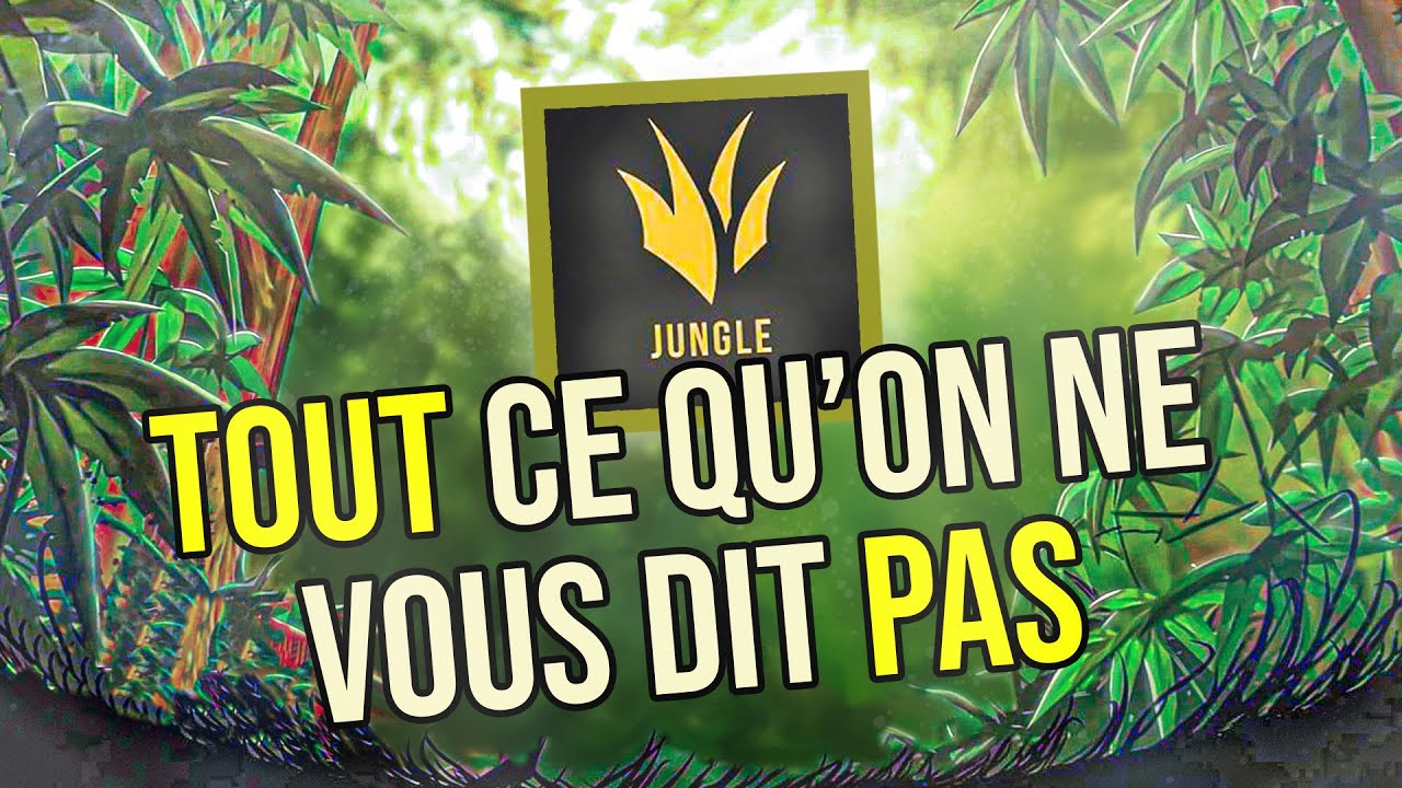 GUIDE JUNGLE - Les bases que VOUS DEVEZ conna&icirc;tre