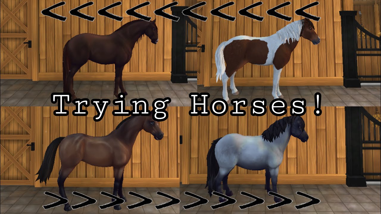 Trying Horses || SSO RRP