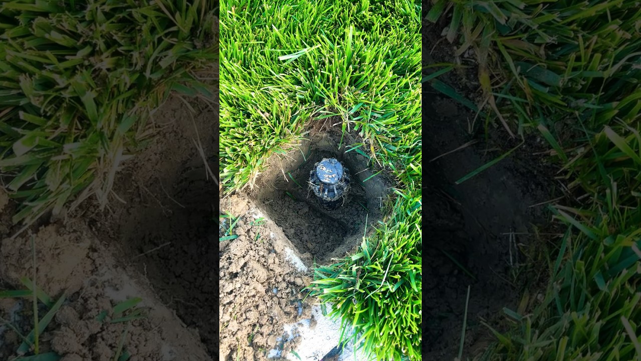 🚨⚠️How To Change Your Hunter Sprinkler Head ⚠️🤷&zwj;♂️ #viral #trending #shorts #howto #roadto1k