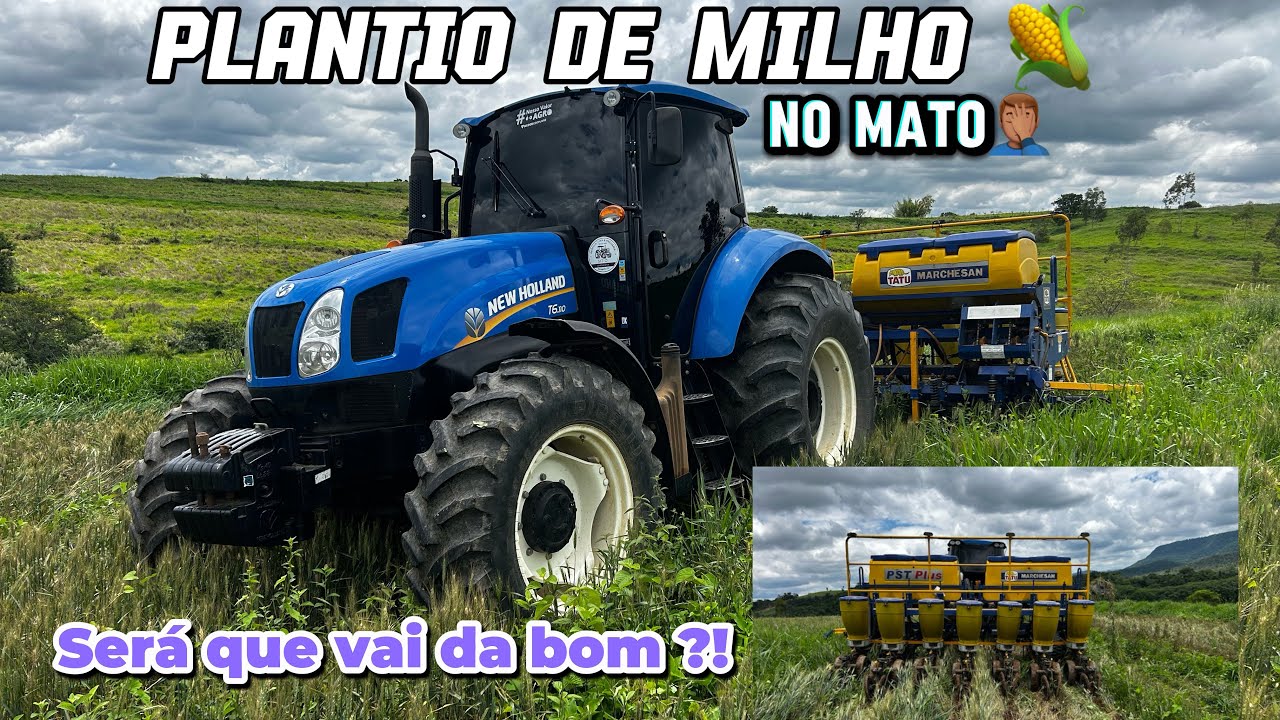Plantio de milho no matagal !! Será que vai da bom ?