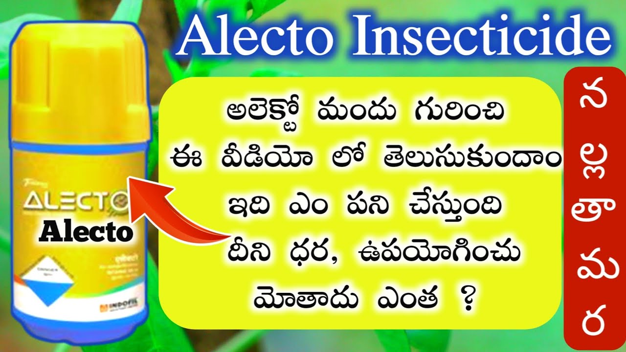 🔰 Alecto Insecticide గురించి పూర్తి సమాచారం || Indofil Alecto Insecticide Details Explain In Telugu