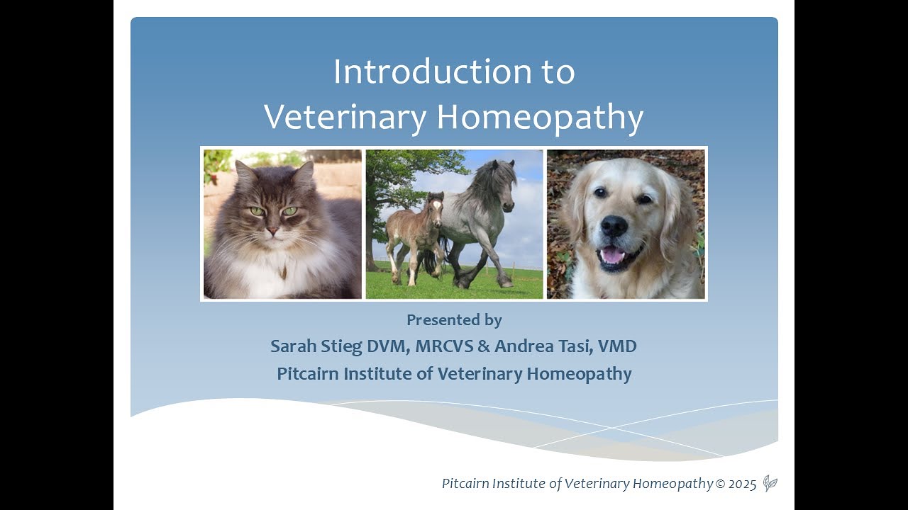 PIVH Introduction to Veterinary Homeopathy Webinar - October 5th, 2025