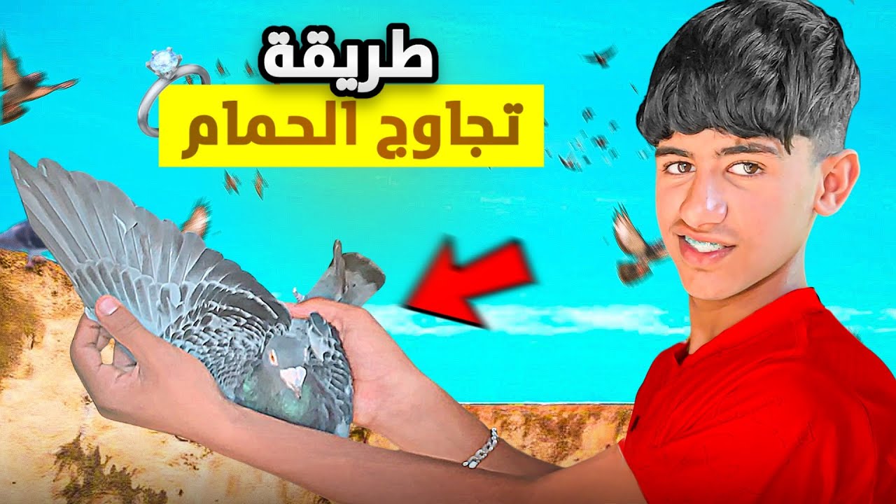 أجي تشوف: كيفاش تجاوج 💍حمام ديالك🕊️في 3 أيام ميمكنش😳