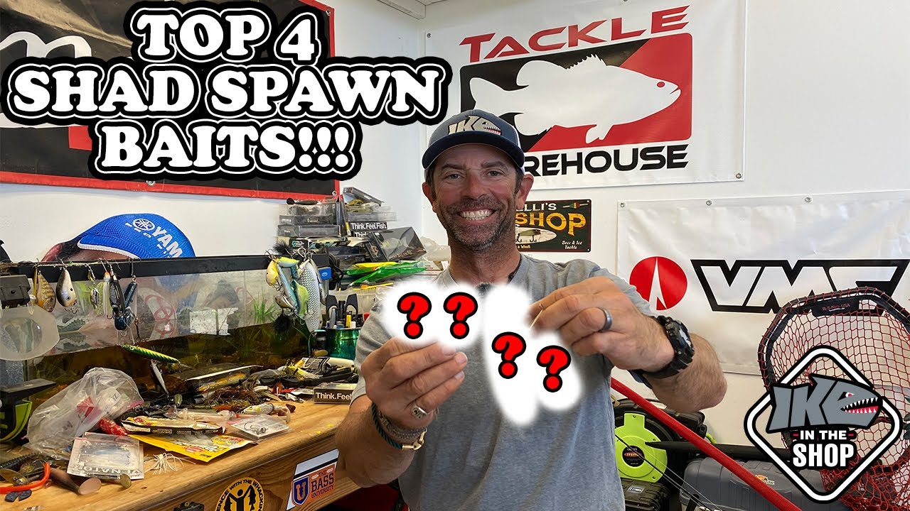 Unlocking the Shad Spawn: Proven Lures and Techniques for Bass Fishing | Top 4 Shad Spawn Baits
