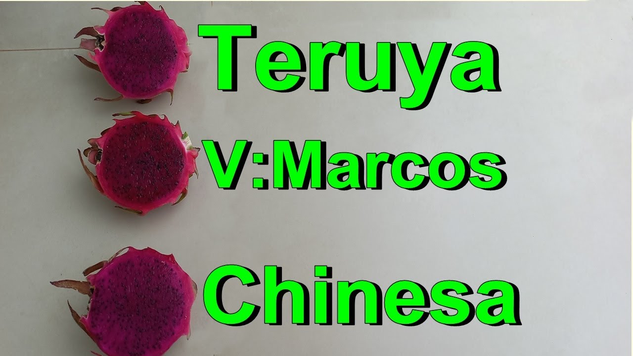 QUAL PITAYA É MELHOR EM SABOR TERUYA V MARCOS OU CHINESA DO BILL