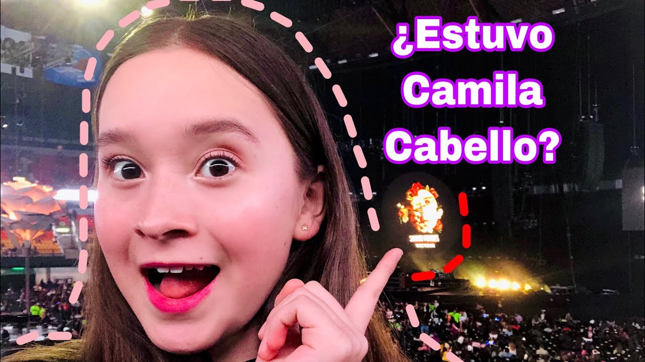 Shawn Mendes en México - Fui a su concierto