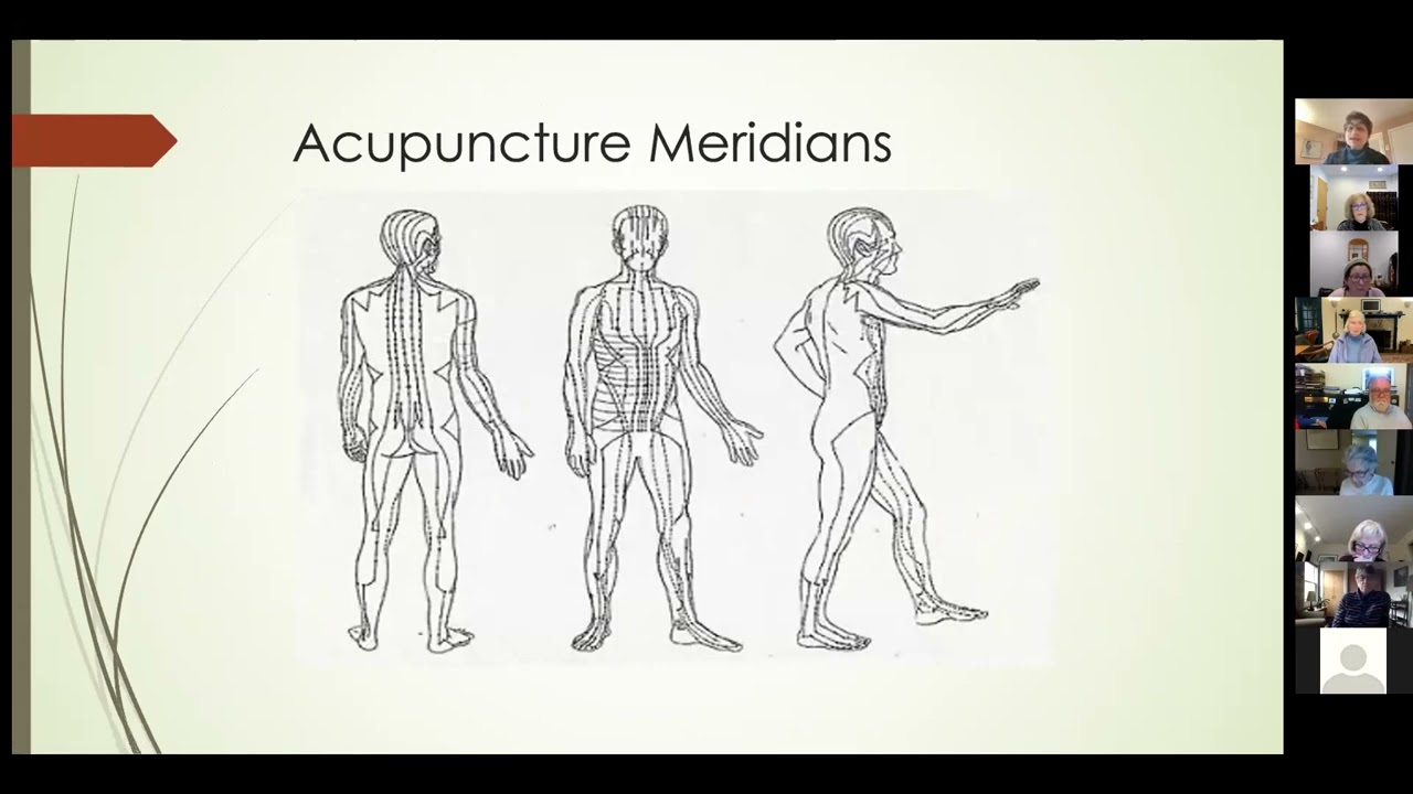 Acupuncture & Acupressure, How & Why It Works, with Dr  Robin Ritterman Feb 2022