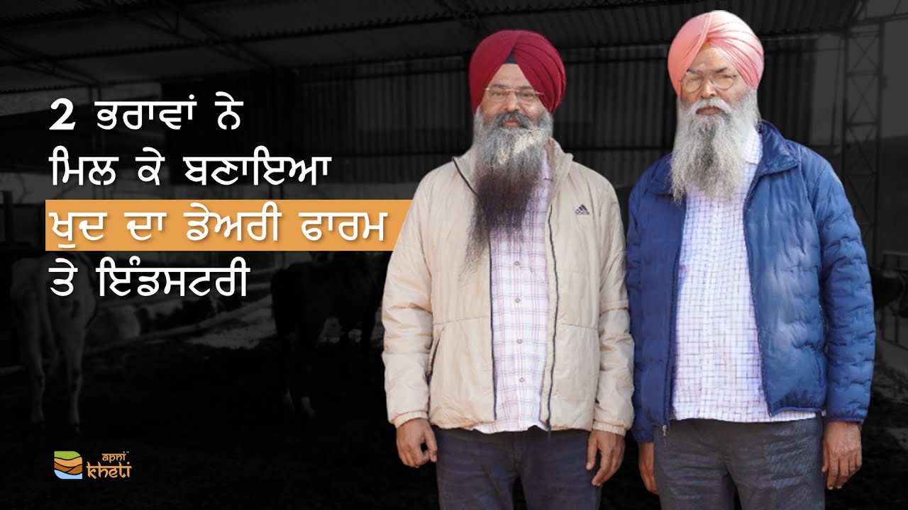 65 ਪਸ਼ੂਆਂ ਦੇ ਨਾਲ-ਨਾਲ ਡੇਅਰੀ ਦਾ ਹਰ ਪ੍ਰੋਡਕਟ ਬਣਾਉਣ ਵਾਲੇ 2 ਭਰਾ | Jagmohan Dairy Farm |