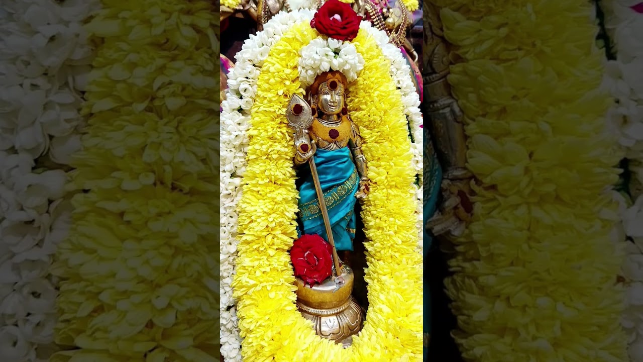 #sanmuga 🌺🙏✨✨