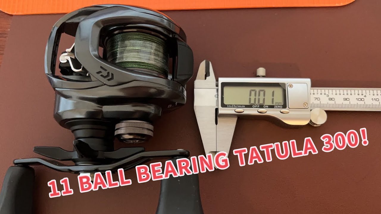Tatula 300: maintenance and upgrade