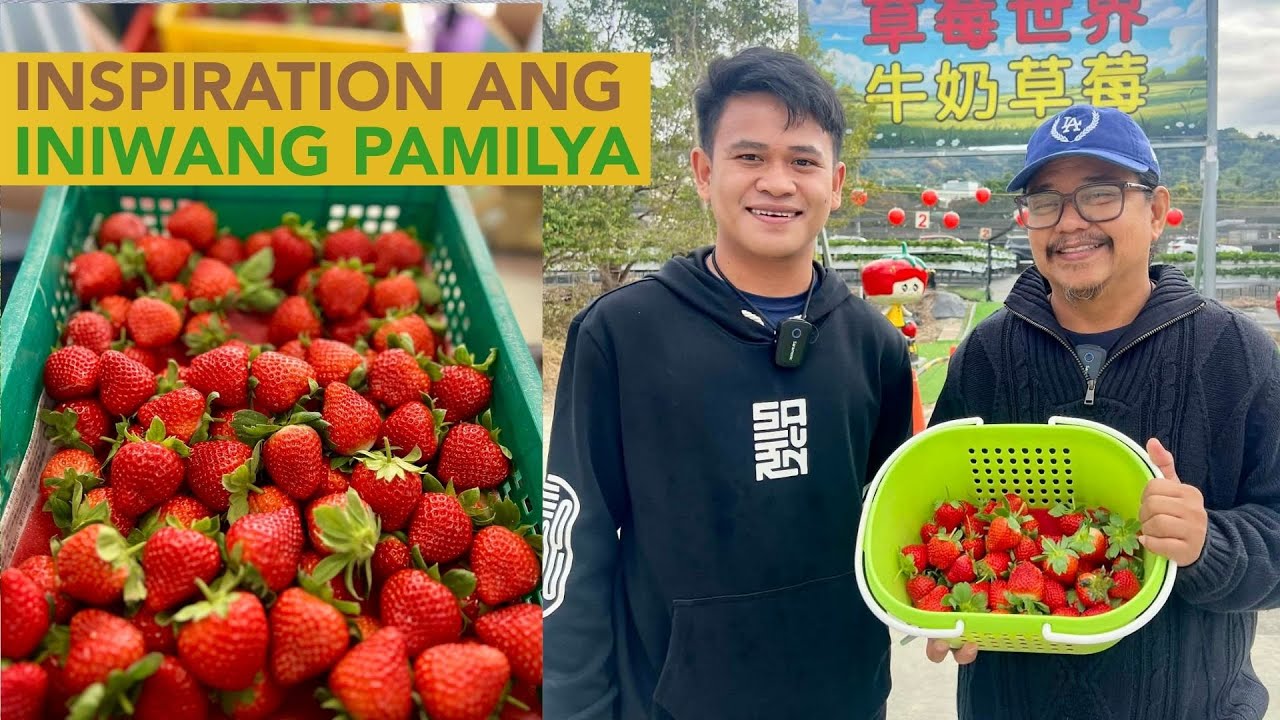 Mga Strategies ng Strawberry World Bakit sila ang Biggest in Taiwan? Baka Pwede Gayahin sa Pinas!