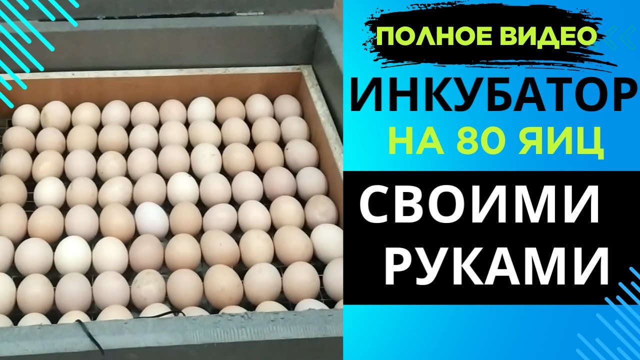 Полное видео Инкубатор из пеноплекса своими руками на 80 яиц