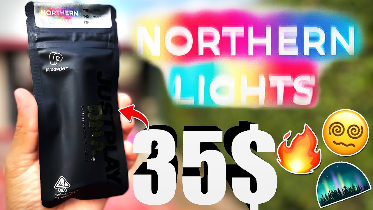 This NORTHERN LIGHTS had me LIT... | PLUG PLAY NORTHERN LIGHTS! | TAXED CARTS #6