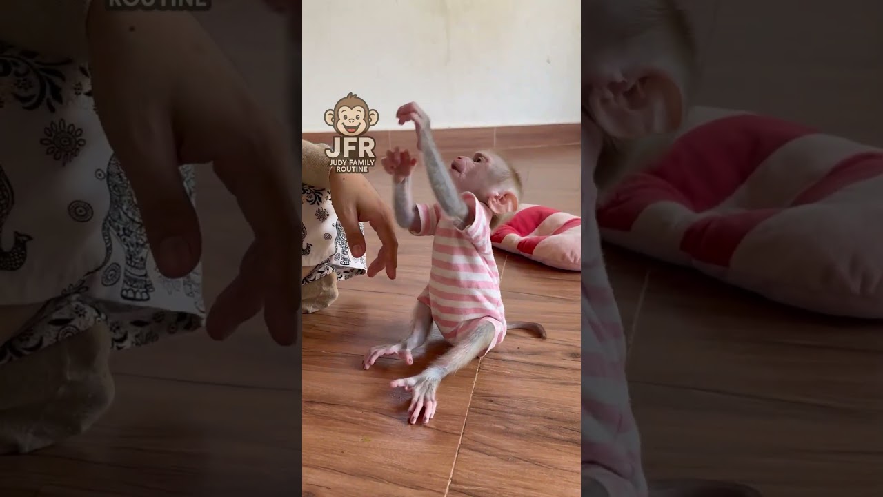 Adorable KT Start Playing For The Very First Time