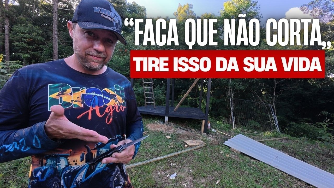 A LIÇÃO DA 