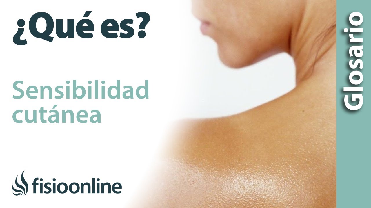 SENSIBILIDAD CUTÁNEA | Qué es, dónde se encuentra, cuál es su función e importancia