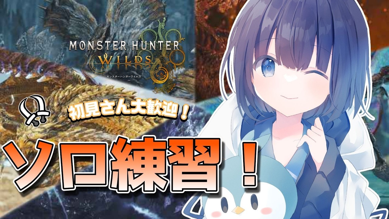 【モンハンワイルズ】双剣で☆10モンスターをソロ練習するのです！⚔