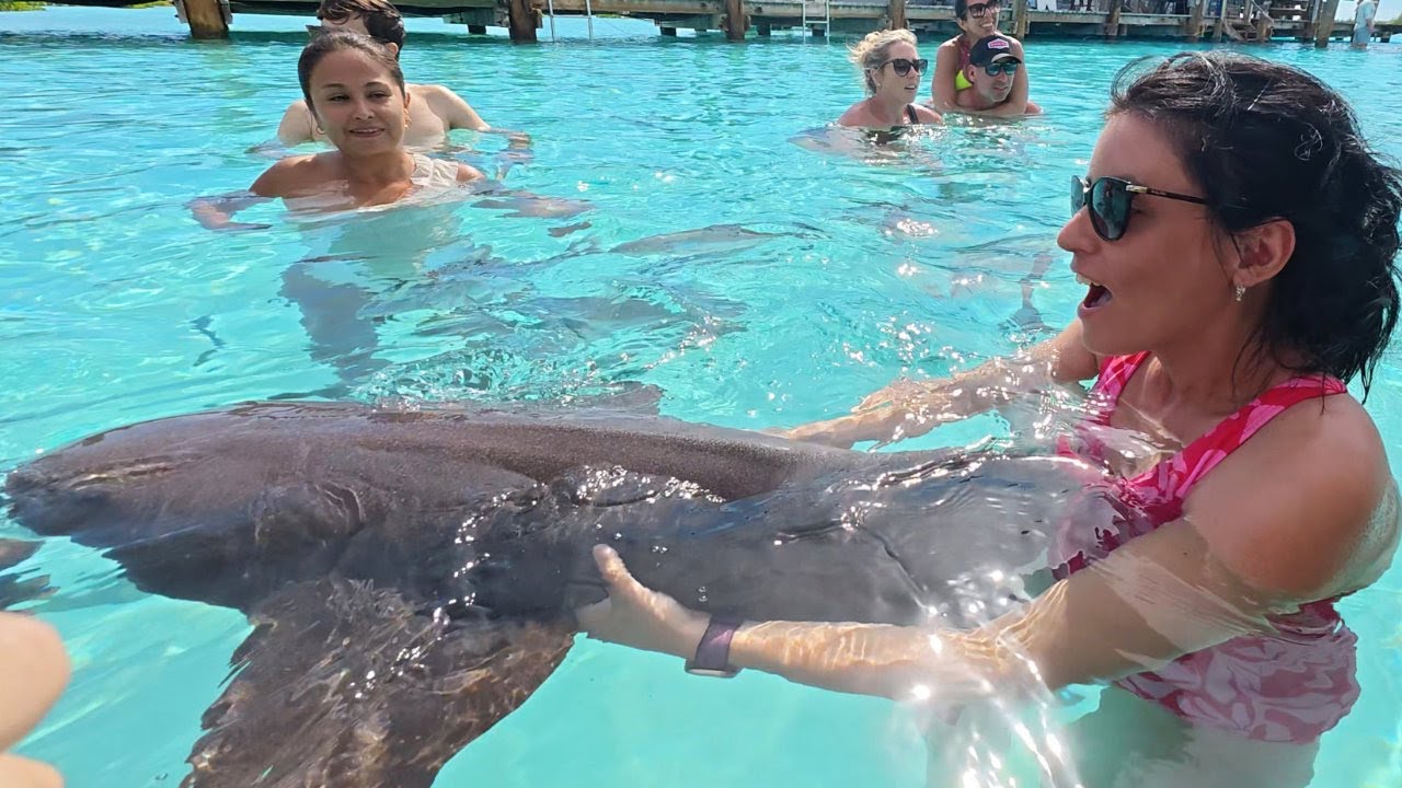 Swimming with Nurse Sharks in Exumas, Bahamas