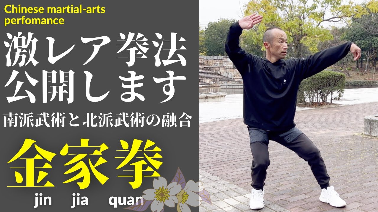 上海で学んだ激レア拳法公開します【金家拳】南派武術と北派武術の融合