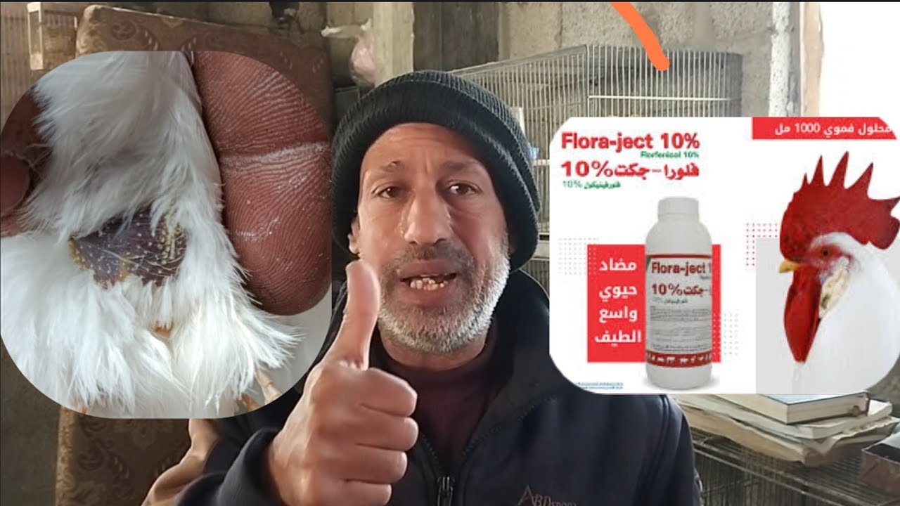 العلاج الأساسي لكل مزارع الطيور ( طيور زينة، دجاج، حمام، غيرها) 