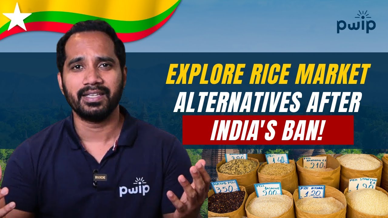 Exploring New Rice Market Opportunities After India's Export Ban