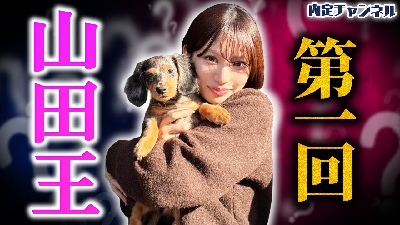 山田を全て解剖します
