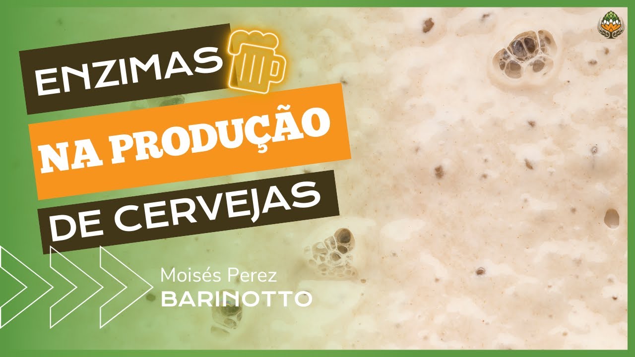 A importância das enzimas no processo de elaboração da cerveja