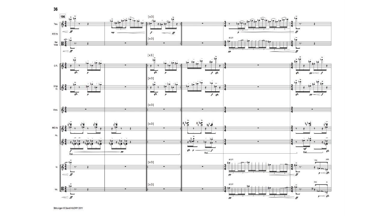 David Hudry : &laquo; St&ouml;rungen &raquo; (2011) - Extrait n&deg; 4