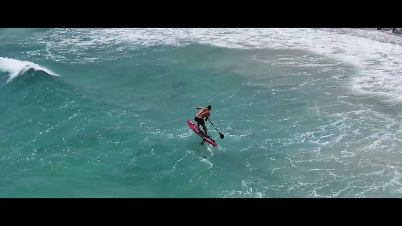 Проект FLOW 2025 — Punter's Runs