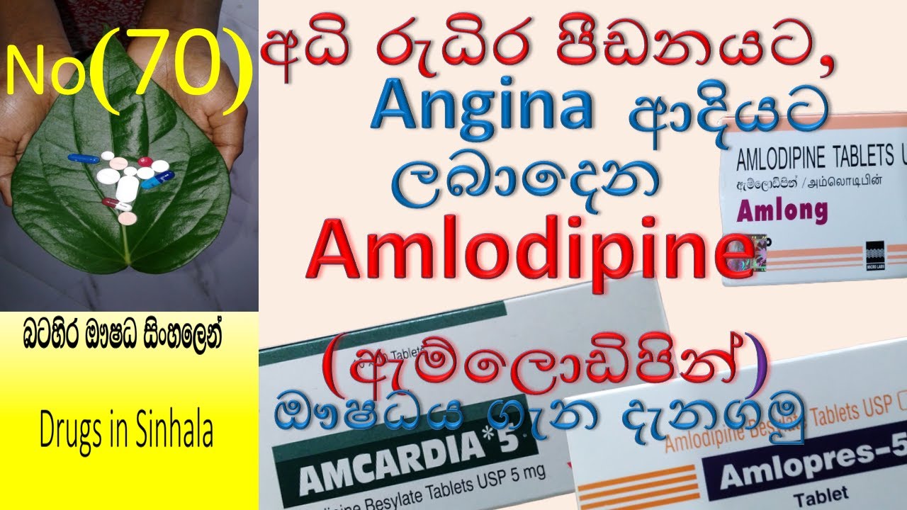 Amlodipine in Sinhala |Amlodipine | ඇම්ලොඩිපින් ගැන  දැනගමු | Hypertension|amlong |amlopres|amcardia