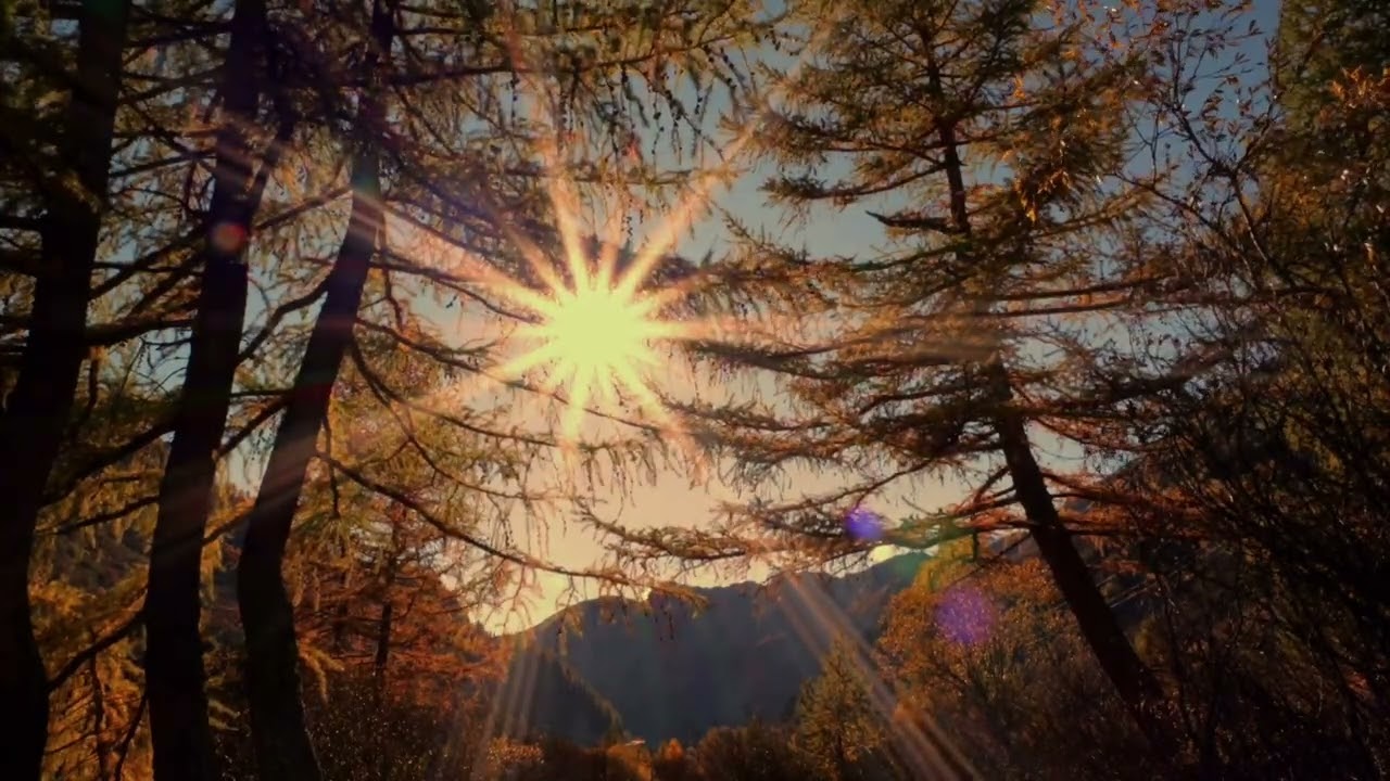 Ma (A Letter I Never Sent)