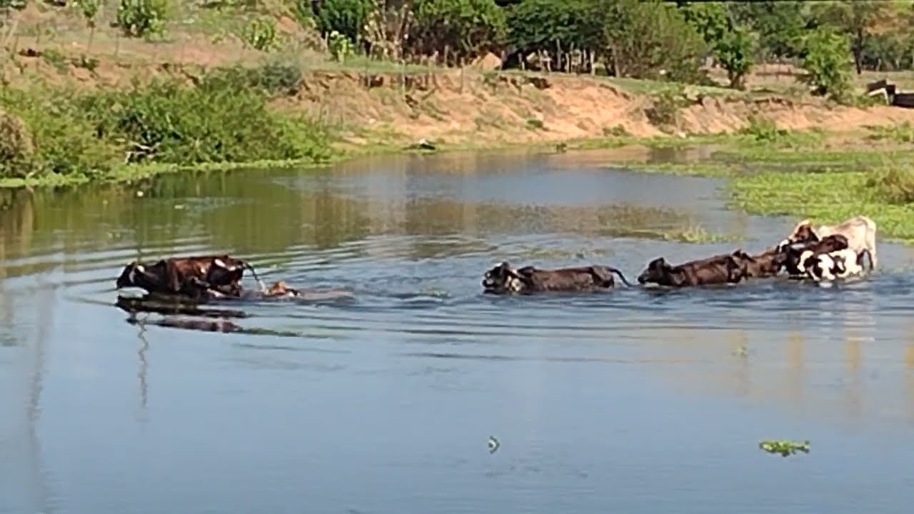 PARCIAL DO RIO SALGADO 23/01/2026