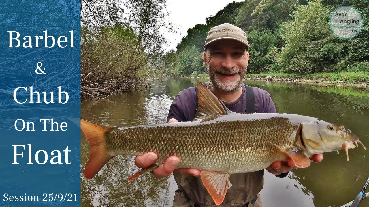 Barbel Fishing The River Wye - Barbel & Chub On The Stick Float - Trotting - 25/9/21 (Video 275)