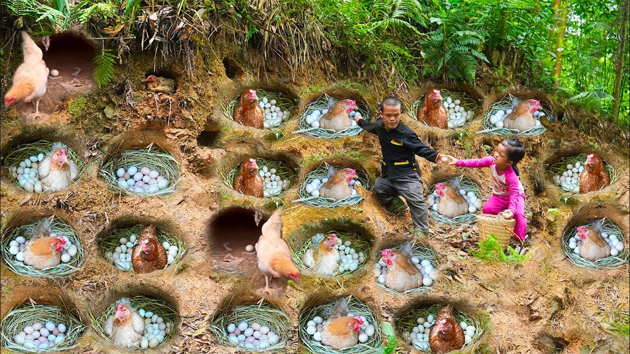 Dwarf Family Primitive Life: Chicken Eggs Harvest From Underground | Happy survival life.