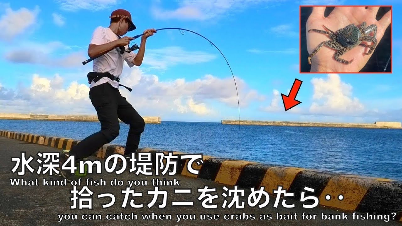 堤防釣りでついに‥エサ代0円史上最高の大物を釣り上げた！