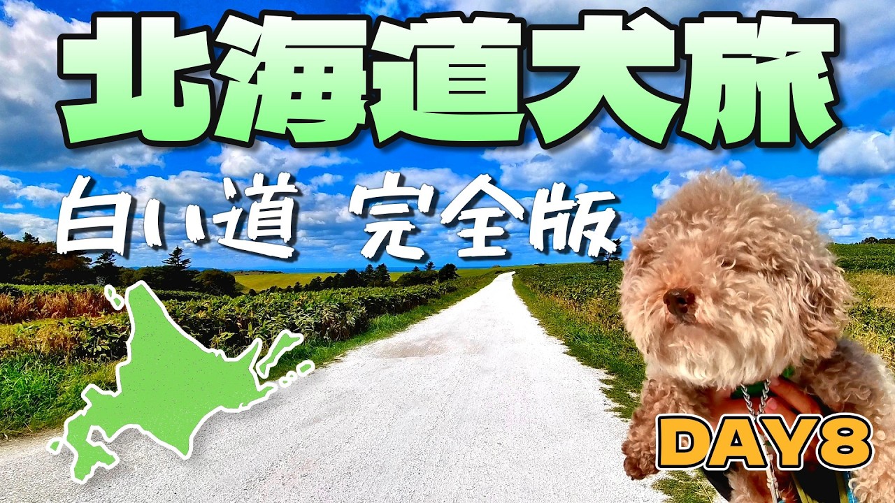 【北海道犬旅2025】宗谷岬「白い道」で絶景ドライブ完全版！｜DAY8｜INUVAN LIFESTYLE