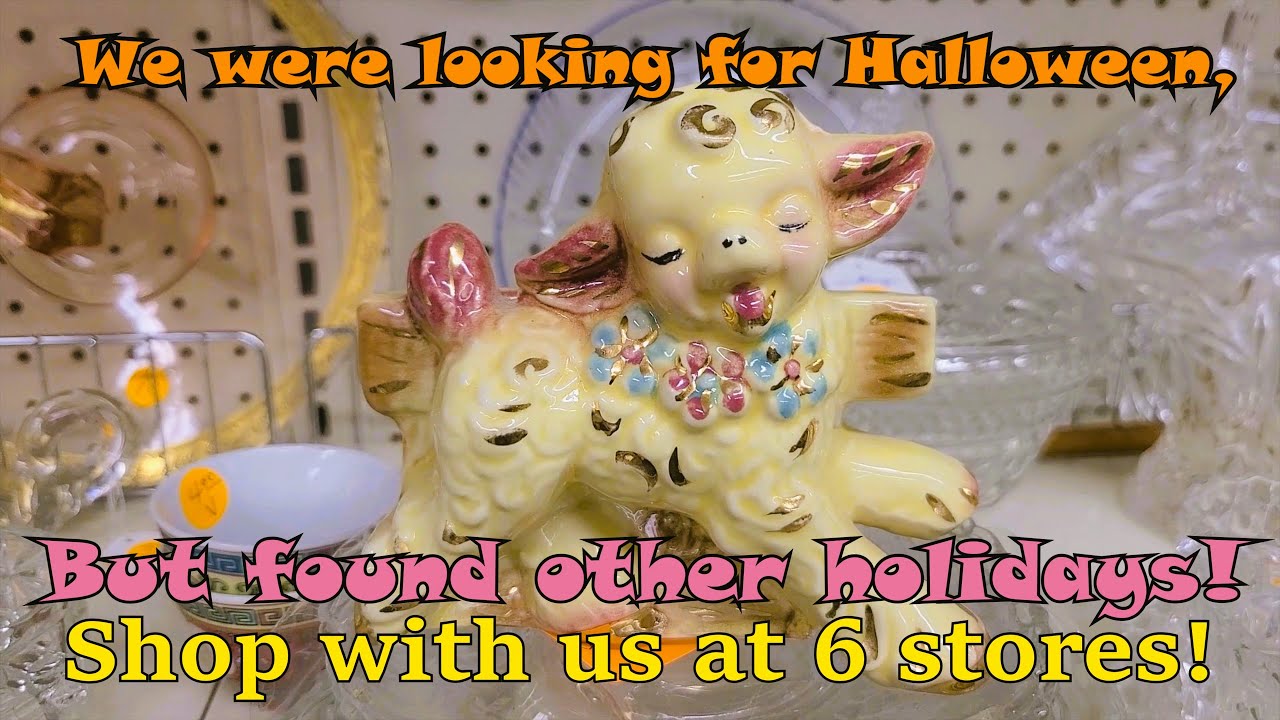 SHOP WITH US at 5 Thrift Stores in Wisconsin & Minnesota!  A very FUN DAY with our Senior Discount