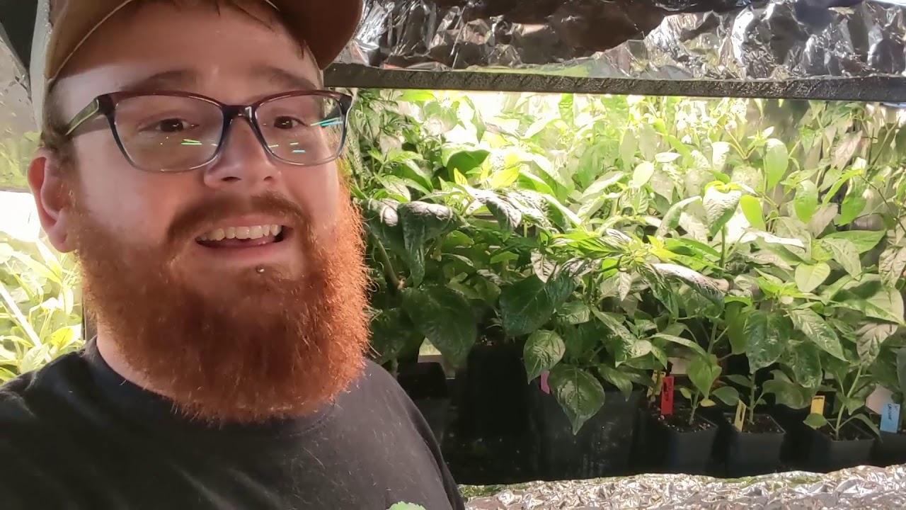 2020 Pepper Grow - Ep. 1 - The Setup Tour