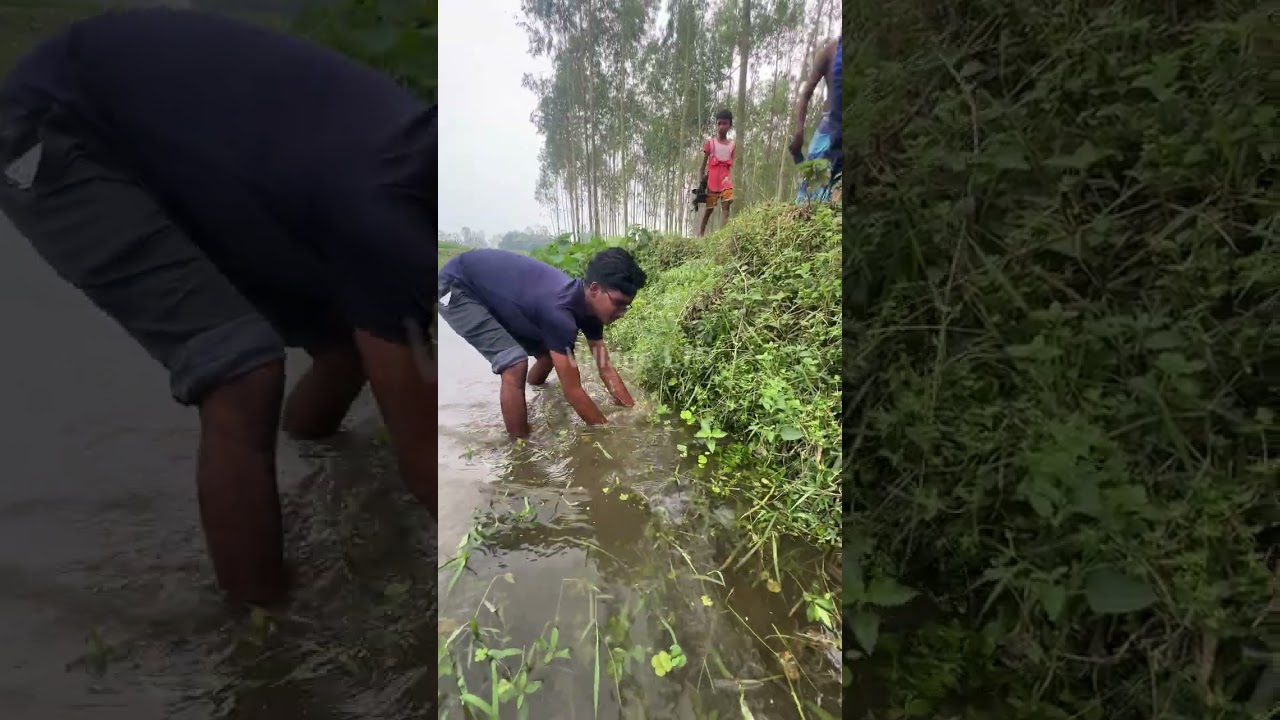🎣 Fishing for LIFE in a Desi Village | A Day of Traditional Fishing in Rural Life 🌾 Village Ltd