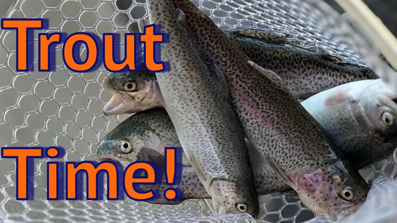 Winter Time Trout Fishing (More Alabama Trout)