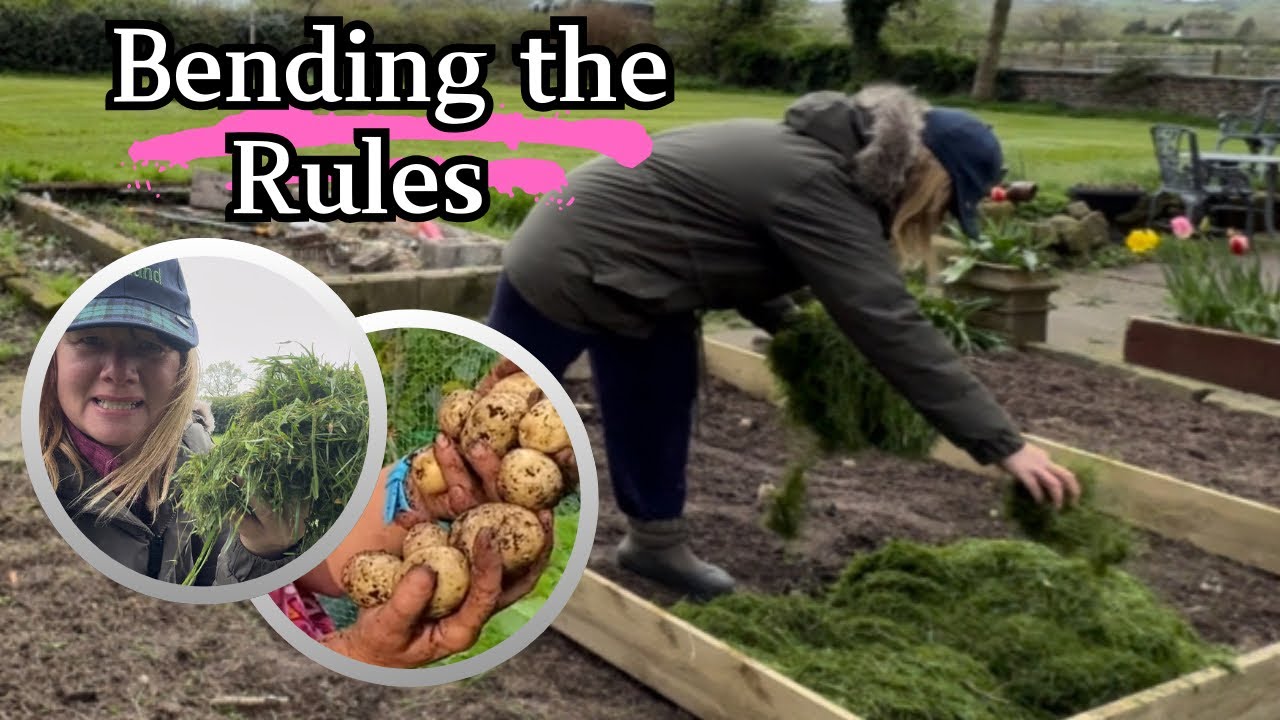 Growing Potatoes | Grass Mulch Method