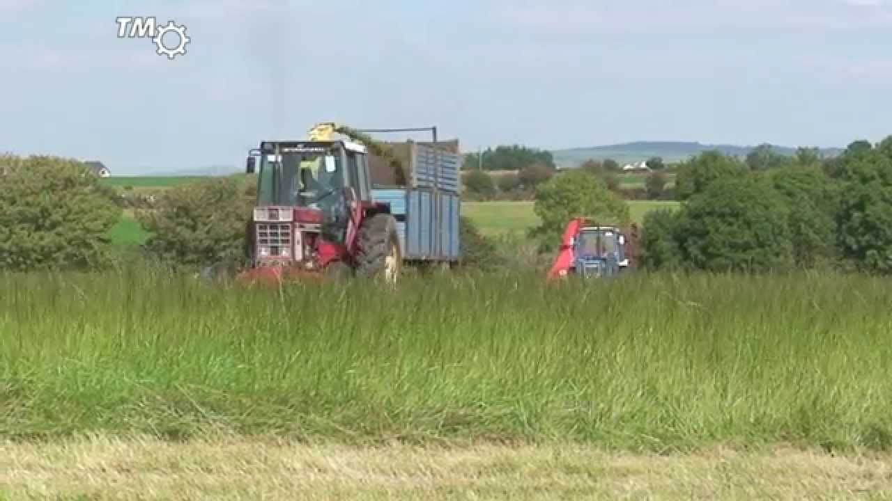 Classic Tractor International 955 & Kidd Double Chop 346