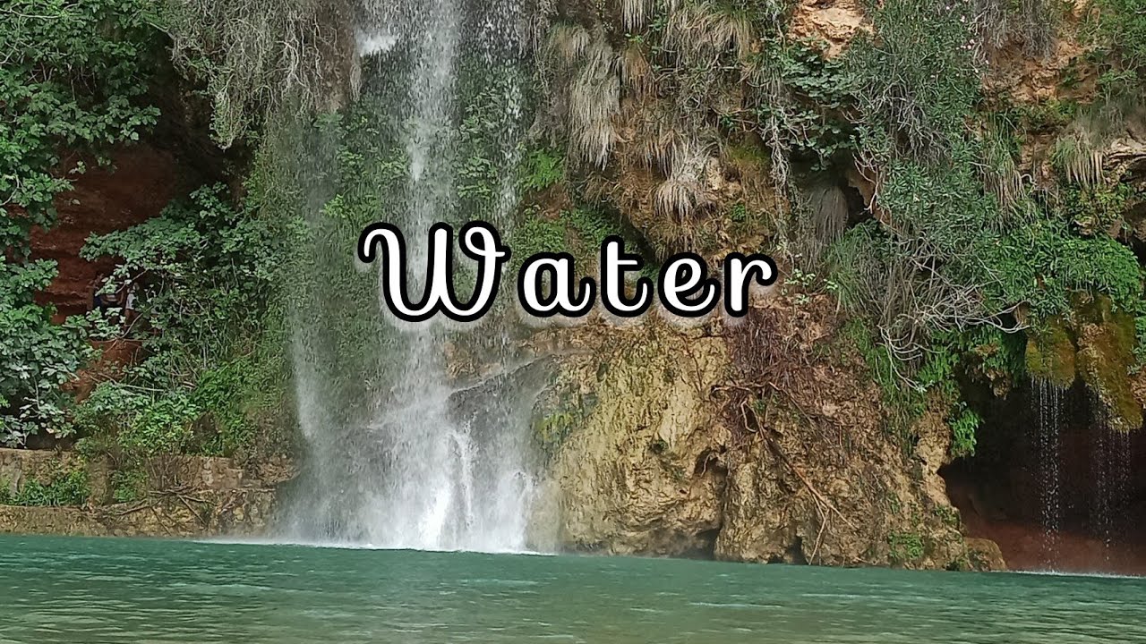 Suoni della natura. Il rumore del cascata e il canto degli uccelli della foresta. sound of nature
