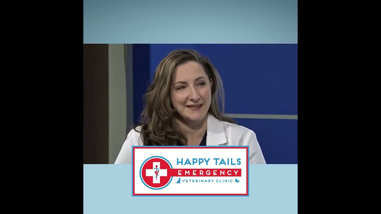 Winter Weather & Valentine's Day Pet Tips