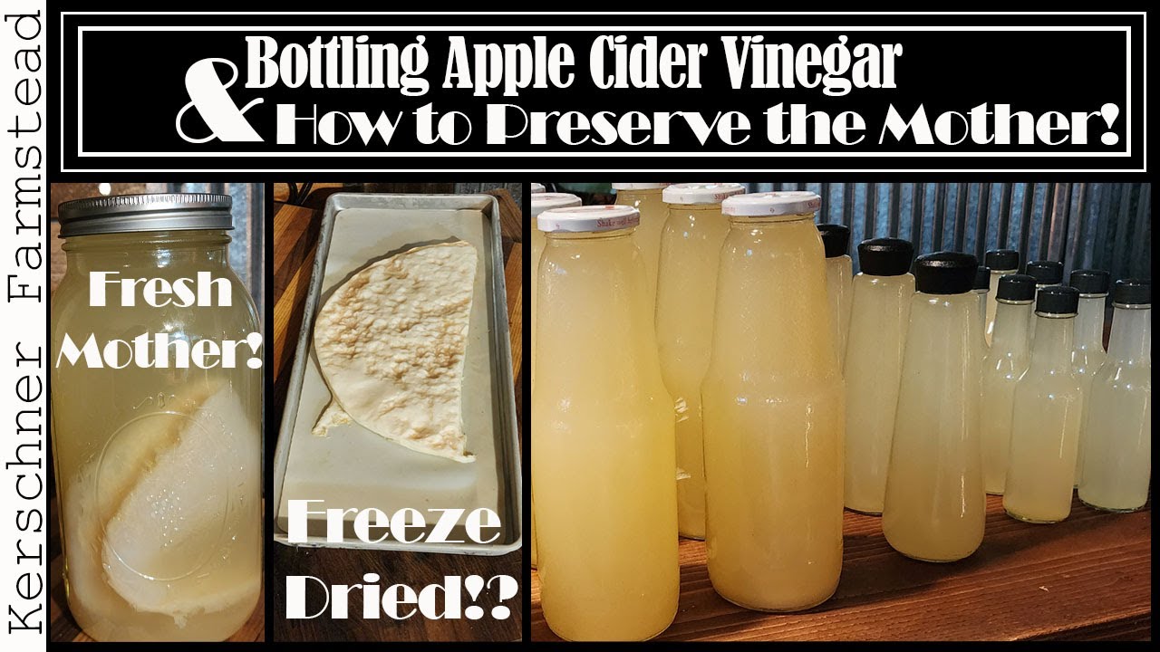 Bottling Apple Cider Vinegar  AND preserving the Mother 2 ways!